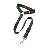 Secure Seatbelt