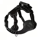No-Pull Harness