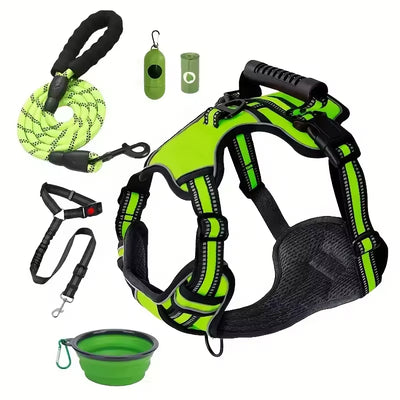 5 Items for Easier, Calmer Walks with Your Dog